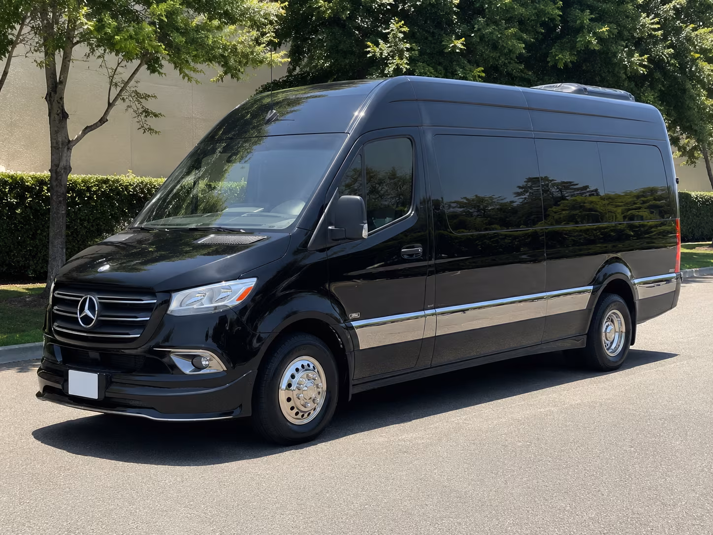 cincinnati 12 passenger sprinter van